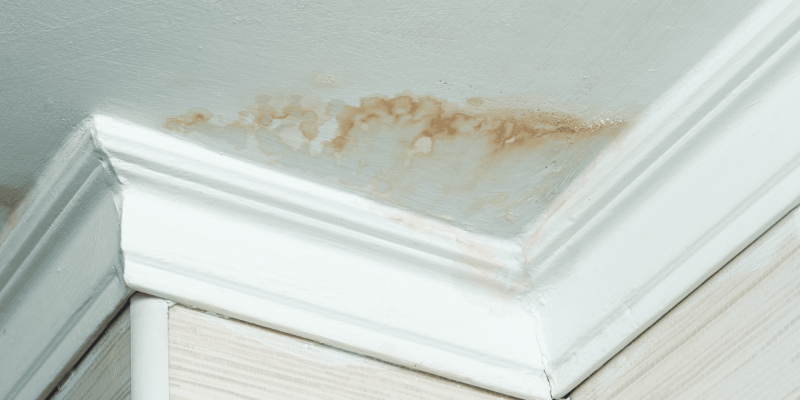Close-up of a ceiling corner with visible water stains and damage