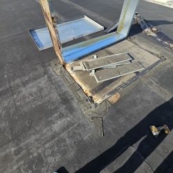 roof inspection new tampa roof inspection new tampa